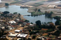 土壤水分對葉片特性有什么影響？