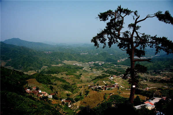 土壤水分速測(cè)儀在連翹種植中效果如何? 土壤水分速測(cè)儀在連翹種植中效果如何?