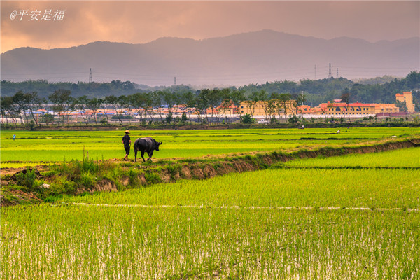 土壤養(yǎng)分速測儀實現(xiàn)用地與養(yǎng)地相結(jié)合 土壤養(yǎng)分速測儀實現(xiàn)用地與養(yǎng)地相結(jié)合