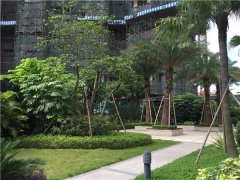 土壤水分速測(cè)儀在生態(tài)系統(tǒng)中的測(cè)定效果