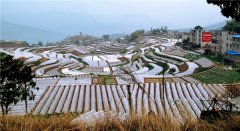 土壤養(yǎng)分速測(cè)儀測(cè)試樣地和環(huán)境因素