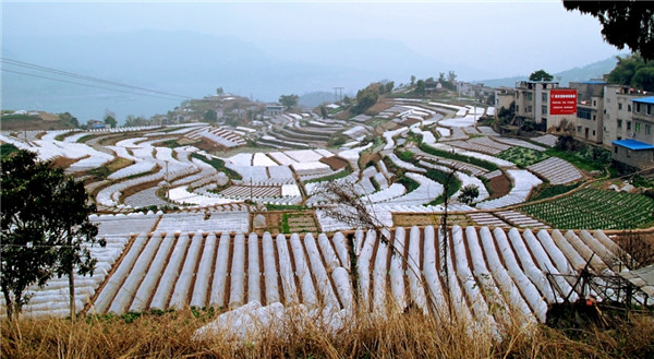 1564647424112364.jpg Cg-4q1T8PQ-ISPy4AAiHhVLcM-0AAERYgLAq3EACIed775.jpg