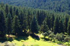 農業灌溉土壤墑情檢測儀