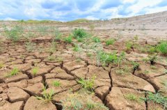 安裝土壤墑情自動監(jiān)測系統(tǒng)有哪些好處？