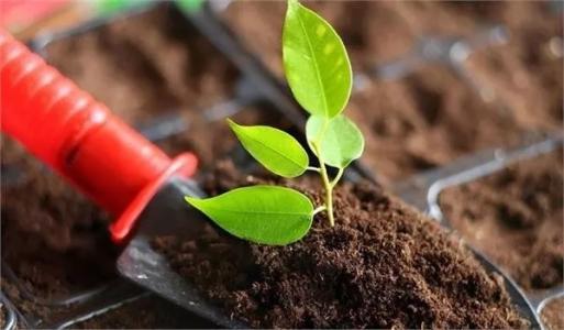 土壤墑情監(jiān)測(cè)系統(tǒng)有什么用途 土壤墑情監(jiān)測(cè)系統(tǒng)有什么用途