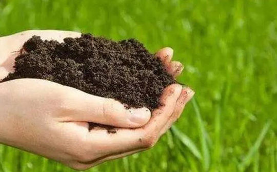 土壤墑情 土壤墑情