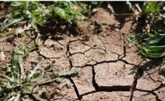 土壤墑情監測系統可以提供哪些數據