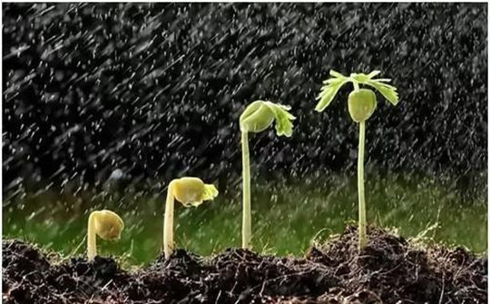 土壤墑情監測系統 土壤墑情監測系統