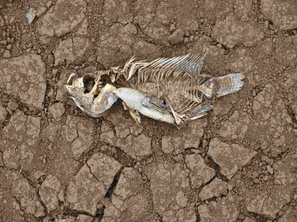 安裝土壤墑情自動監(jiān)測系統(tǒng)的意義在哪里? 安裝土壤墑情自動監(jiān)測系統(tǒng)的意義在哪里?