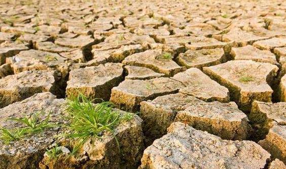 目測土壤墑情? 目測土壤墑情?