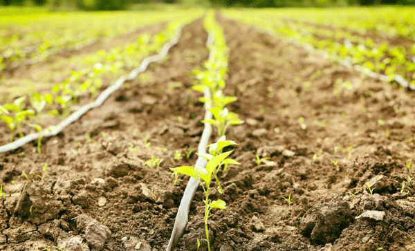 為什么要開展土壤墑情監測工作? 為什么要開展土壤墑情監測工作?