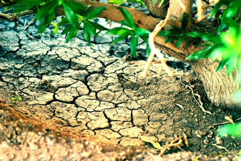 土壤墑情監測系統引領墑情信息化監測管理 土壤墑情監測系統引領墑情信息化監測管理