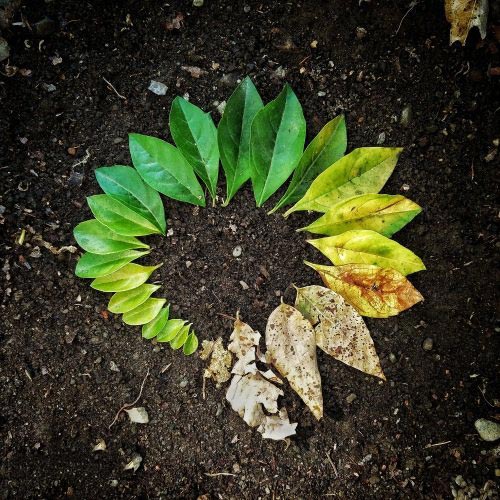 土壤水分類(lèi)型科普 土壤水分類(lèi)型科普